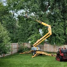 Best Tree Disease Treatment  in Pontiac, IL